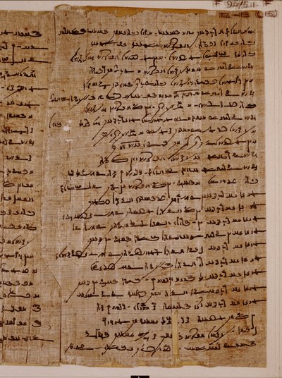 Papyrus demotico con letteratura sapienziale da Unbekannt Unbekannt